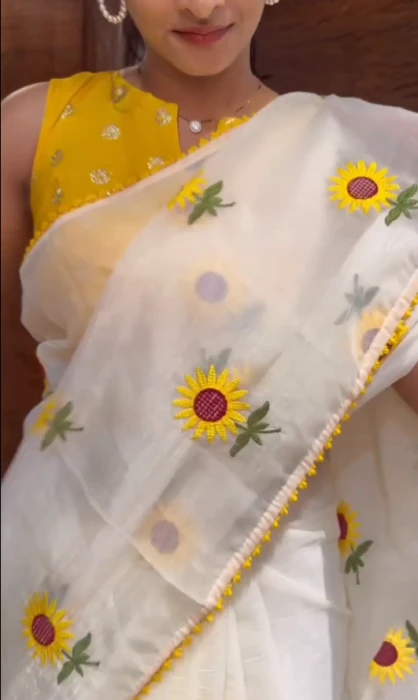 Embroidery Saree Em-169