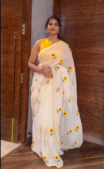 Embroidery Saree Em-169