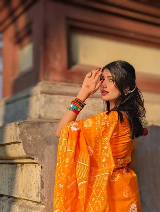 Halfsilk  Saree With  Blouse BS-8011