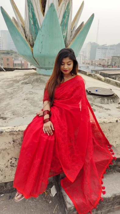 Halfsilk Embroidery Saree Em-116